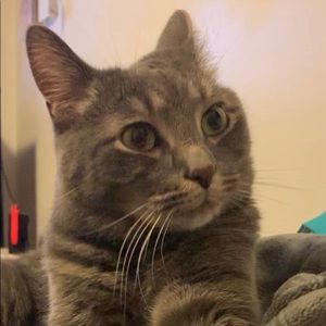 Meet your Posher, Jiawei